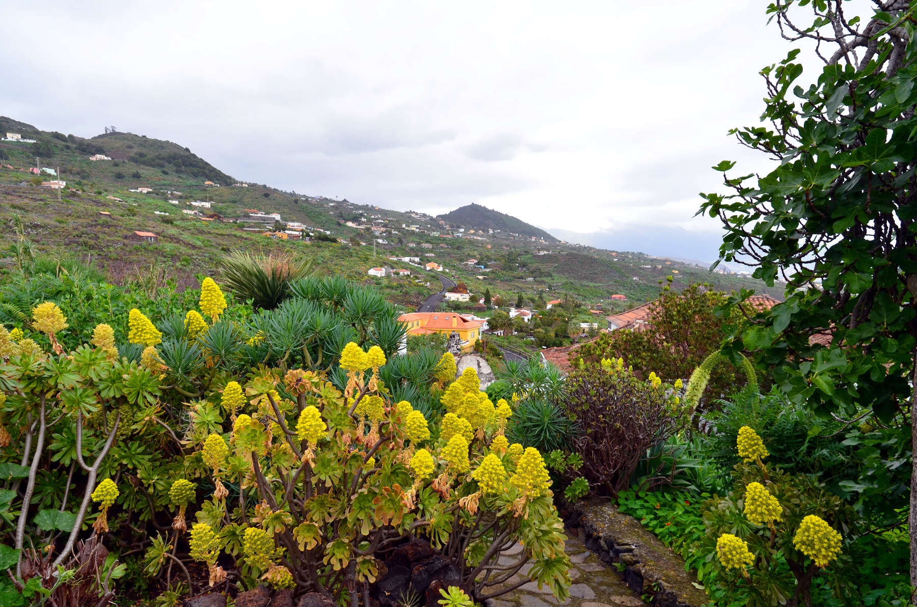 La Palma